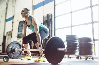 The Longevity Trio You Need to Know