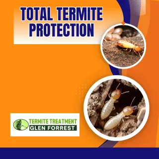 Termite Control for Safe Living Spaces