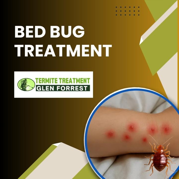 Effective Bed Bug Treatment Solutions for a Comfortable Home