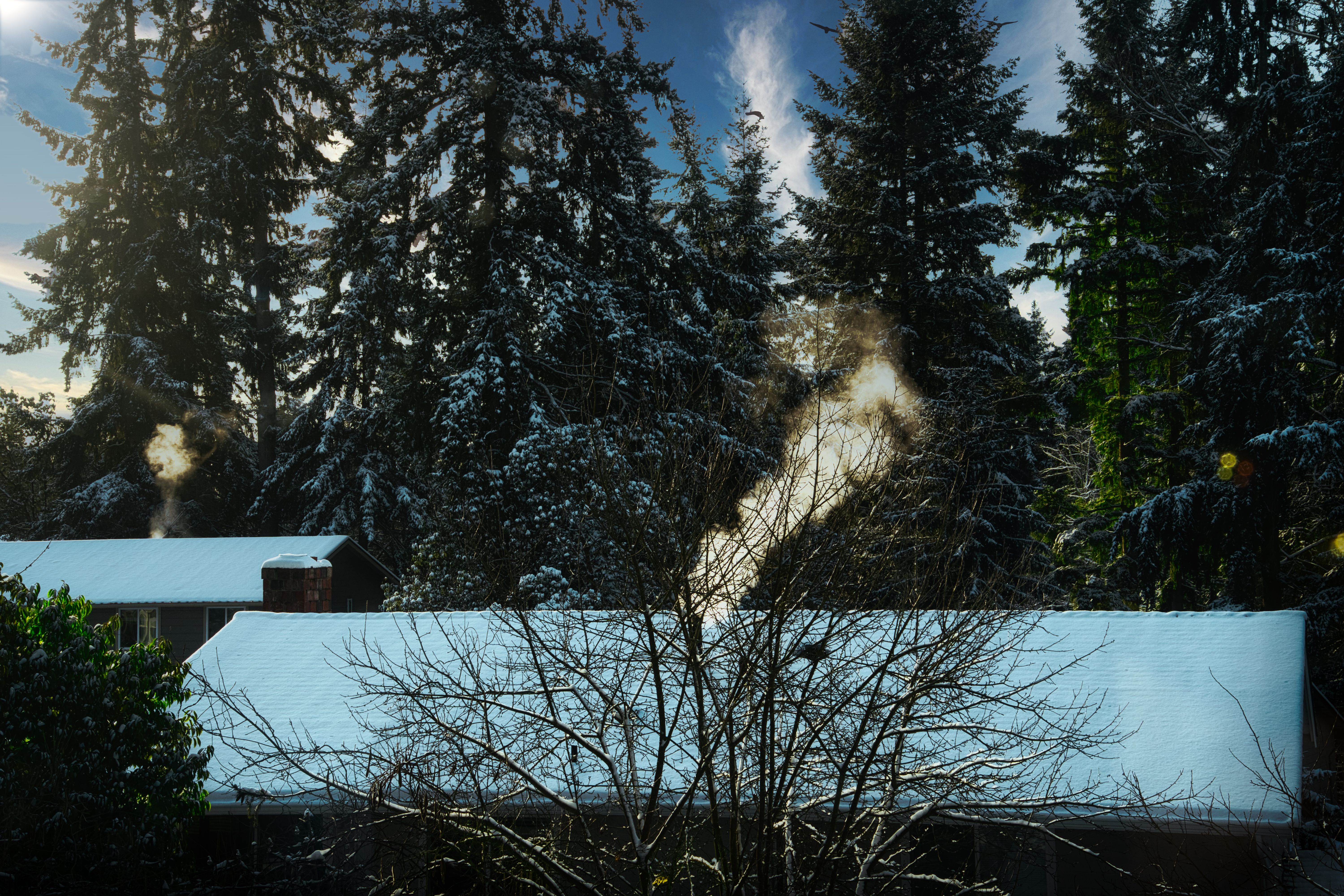 Prevent Ice Dams: Roof Tips for PA Winters