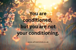 You are conditioned, but you are not your conditioning.