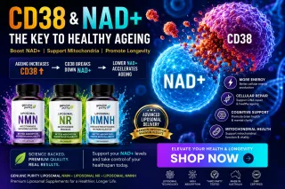 CD38 & NAD+: Key to Longevity Medicine