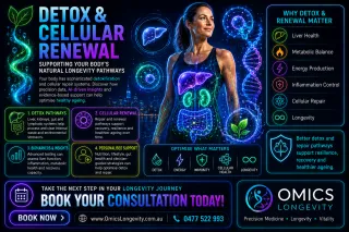 Detox & Cellular Renewal: Supporting Your Body's Natural Longevity Pathways