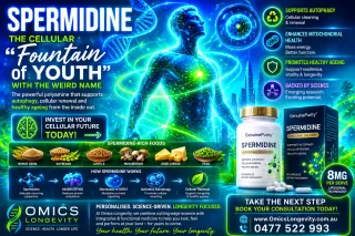 Spermidine-autophagy-longevity-benefits