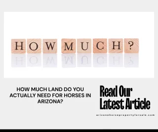 HOW MUCH LAND DO YOU ACTUALLY NEED FOR HORSES IN ARIZONA?