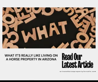 WHAT IT'S REALLY LIKE LIVING ON A HORSE PROPERTY IN ARIZONA