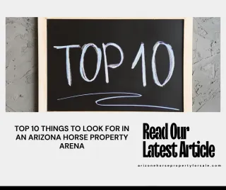Top 10 Things to Look for in an Arizona Horse Property Arena
