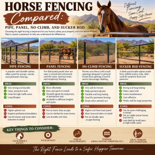 Horse Fencing Compared: Pipe, Panel, No-Climb, and Sucker Rod