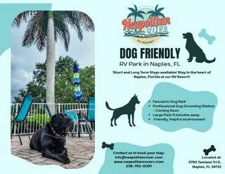 Neapolitan Cove RV Resort: Pet-Friendly Camping