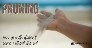 Pruning Always Costs You Something