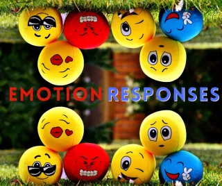 9 emotions and 9 responses