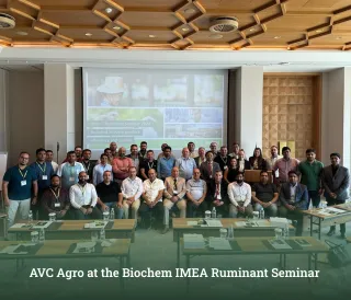 AVC Agro at the Biochem IMEA Ruminant Seminar