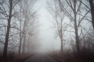 Sen ADHD- og autismediagnose hos kvinder