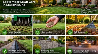 September Lawn Care in Louisville: Aeration, Overseeding & Fall Recovery
