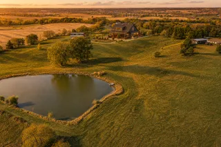 Play With Alpacas at Free Bird Farms | Missouri Farm Stay