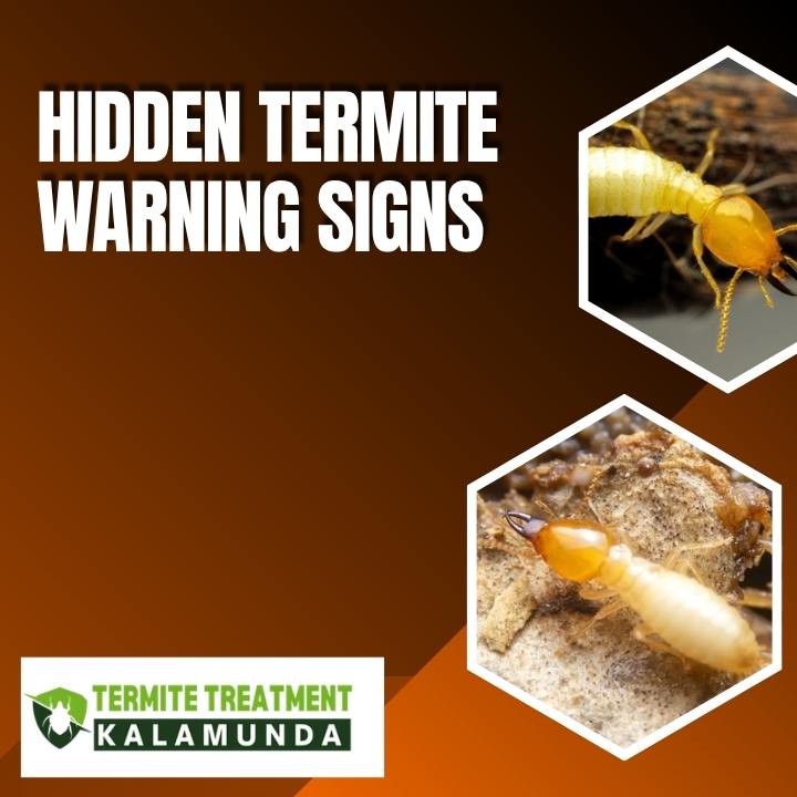 Hidden Warning Signs That Show Termites Are Already in Your Home