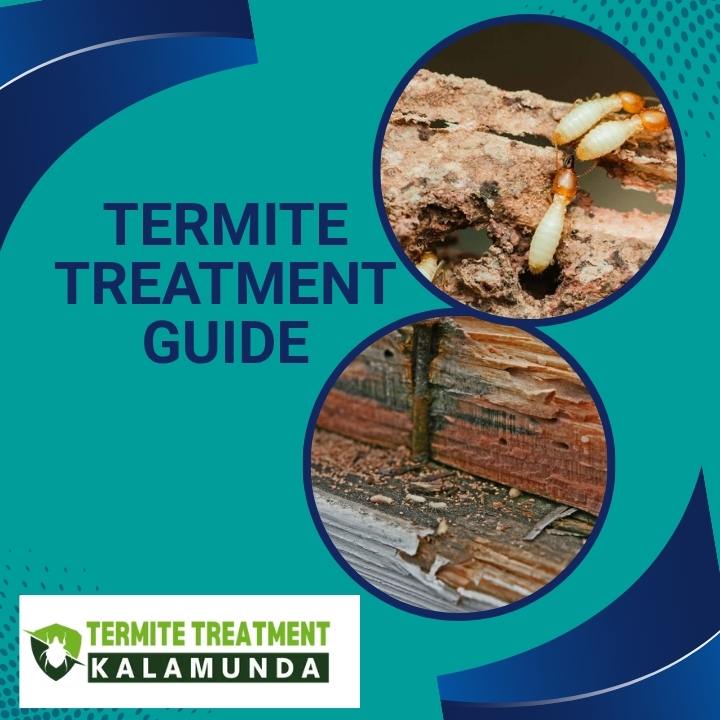 Termites Treatment: Which Method Works Best?