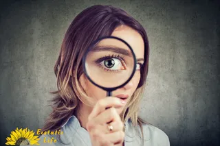 The Power of Curiosity: Moving from Judgment & Reactivity into Self-Trust