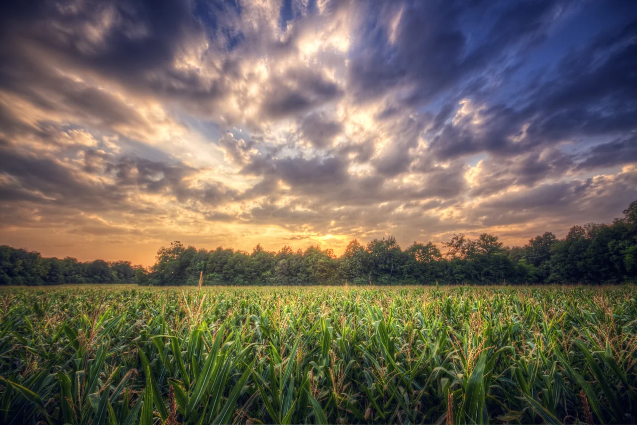 Renting a Car Near MTSU: Transportation Tips for Students and Visitors — Rent & Roll, Murfreesboro, TN 🚗🎓