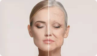 Wrinkles, Structure & Prevention: Why Aging Is Easier to Prevent Than Fix