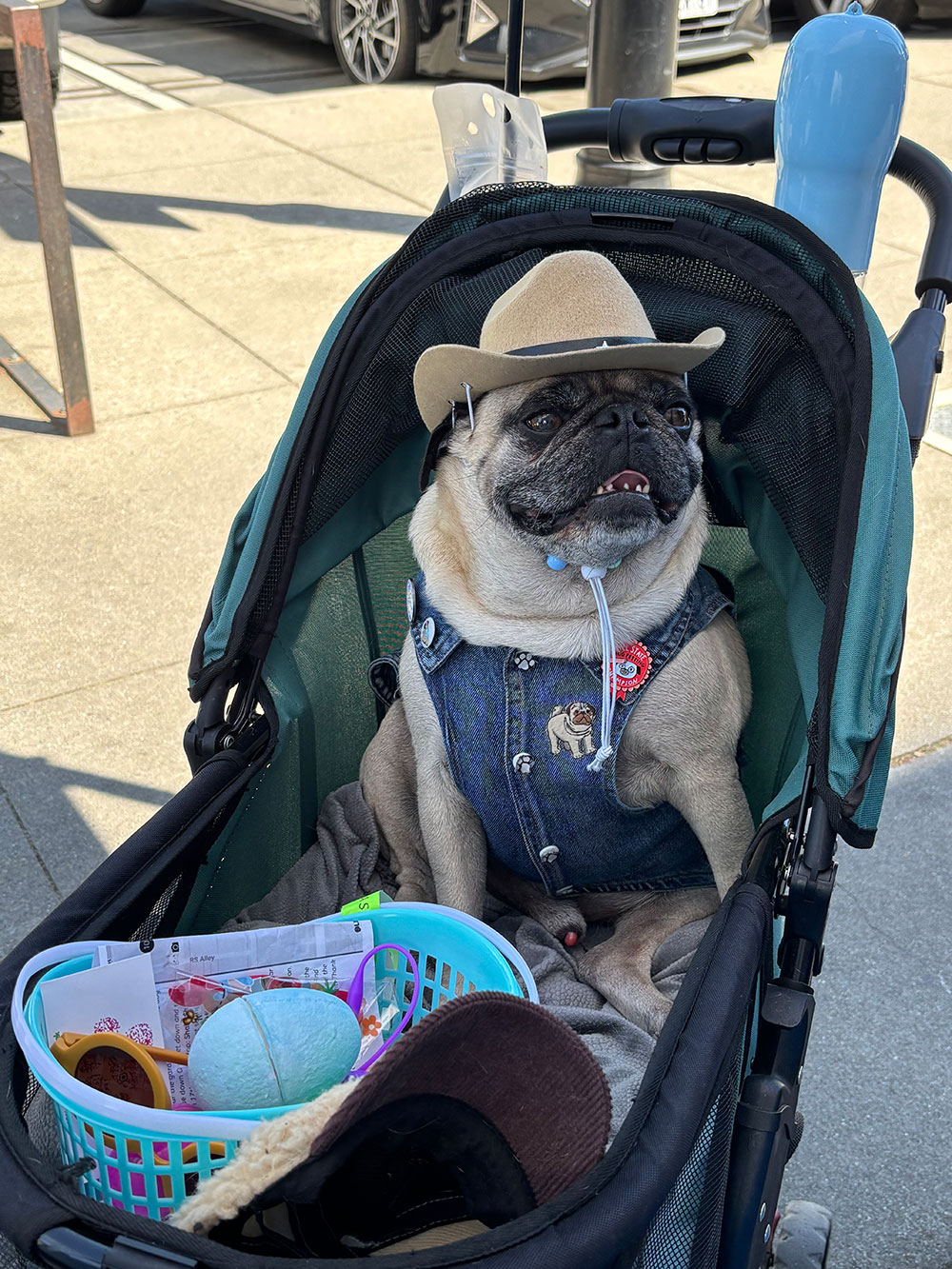 Where to Find Daack Pack This May: Our Spring 2026 Event Lineup