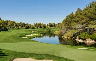 Registered Clubs Could Unlock Land