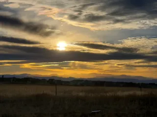 Happy Thanksgiving 2021