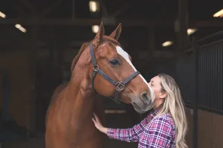 Thinking about Breeding your Mare? Here's where to start.