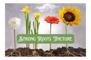 Strong Roots - GRR Littles