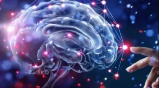 Your reactions are not “you”. They are your nervous system stuck in survival.