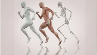 The Simple Power of Touch, Flow, and Connection