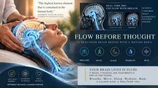 The Breath-Brain Connection: How Every Breath Creates Movement Inside You