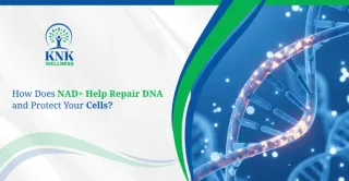 How Does NAD+ Help Repair DNA and Protect Your Cells?