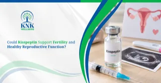 Could Kisspeptin Support Fertility and Healthy Reproductive Function?