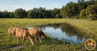 Wetlands Argument Dismantled: Seasonal Flooding & Ag Class