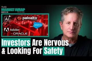 Flight to Safety, Private Credit Stress, and the Brewing Life Insurance Risk