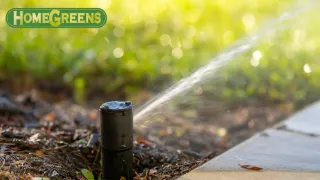 Summer Lawn Care Northern Suburbs