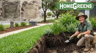 Dealing with Clay & Sandy Soil | Northern Suburbs Perth | HomeGreens