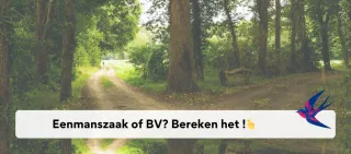 Eenmanszaak of BV