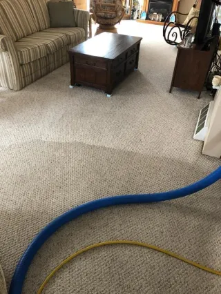 Can Professional Cleaning Remove Old Carpet Stains for Good?