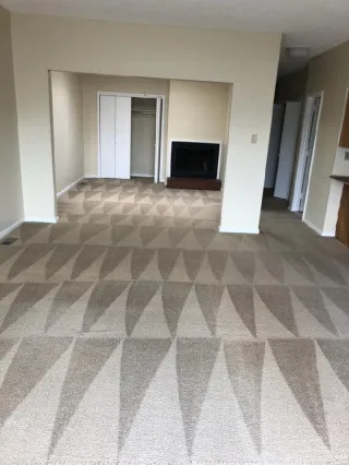 What’s the Best Way to Clean Carpets in Rental Properties?