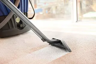 Is Professional Carpet Cleaning Worth the Cost?