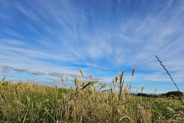 One door closes, a rural property opens!