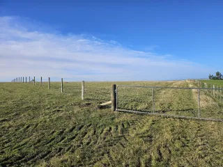 Starting From Scratch On Rural Land In New Zealand