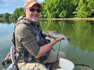 Artificial Intelligence, Real Trout, and a Curious Irony