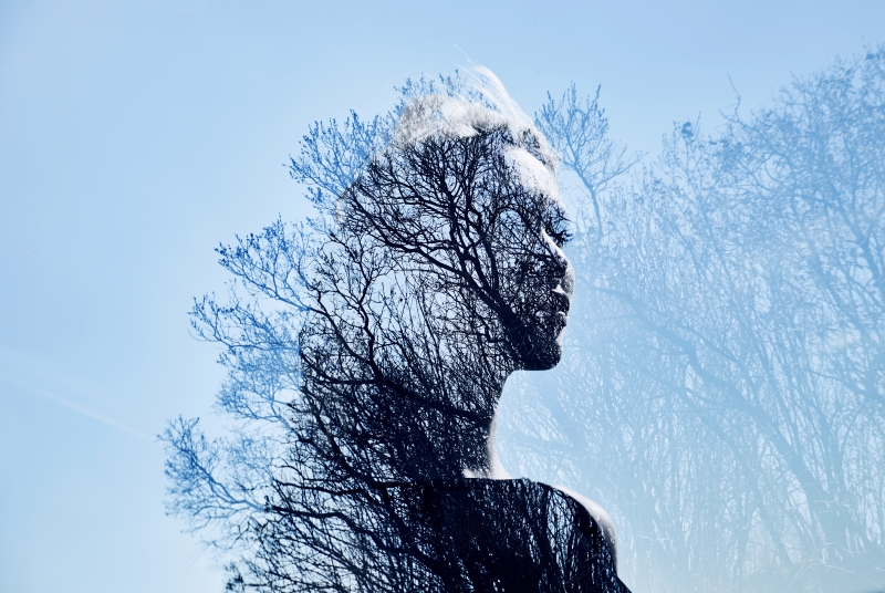 The Body That Forgot How to Want