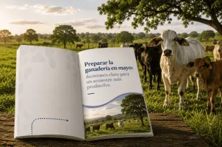Preparar la ganadería en mayo: decisiones clave para un semestre más productivo