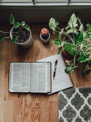 How to get out of survival mode and actually hear God again.
