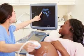 The Risk of “Boutique” Scans: Why Follicle Tracking Is a Medical Science, Not Just a Photo Op
