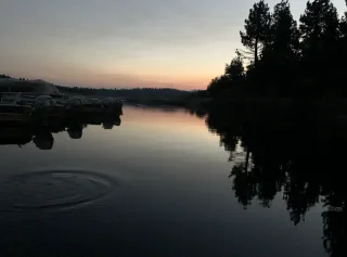 The Ripple Effect